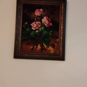 مژگان