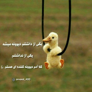 arsm