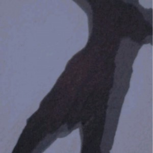 محمد حسام