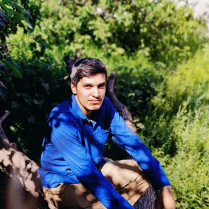 محمد جواد