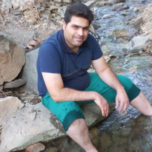 مجتبی