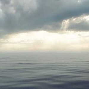 محمدمهدی