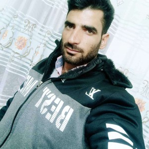 هادی