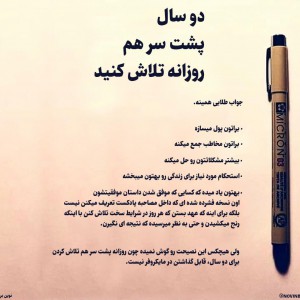 رضا صداقتی