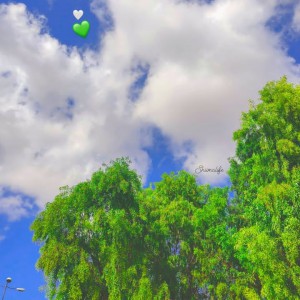 بیتا