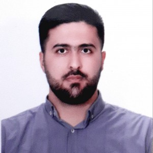 هادی