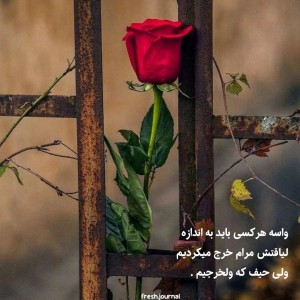 Adeleh amiriloulaki