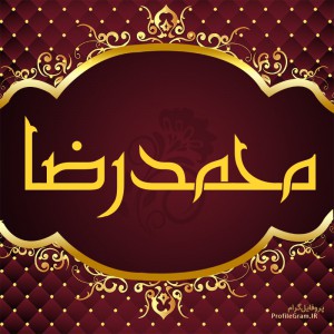 محمد رضا