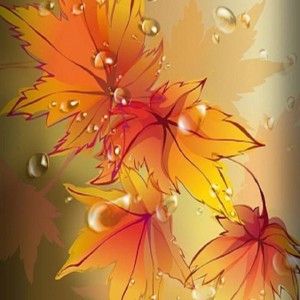 راضیه