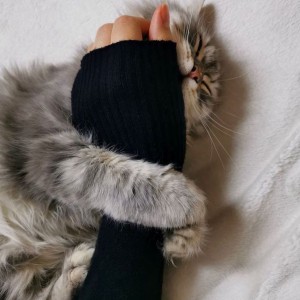 Hannaneh