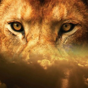 omid