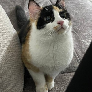 Zahra