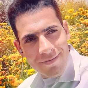 سیلوا