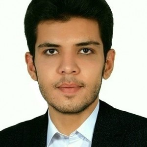 Amir313