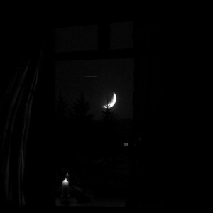Amir hosseain