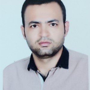 حسین عارف