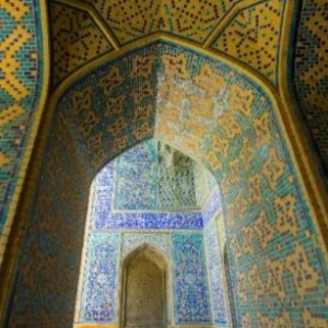 محمدرضا