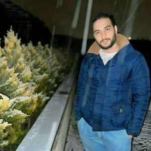 سیدامیرحسین