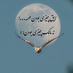مرتضی