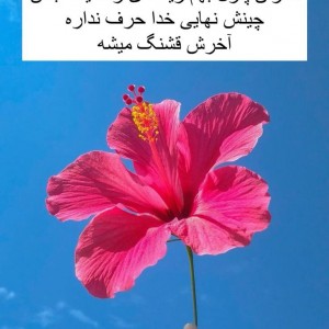 نفیسه