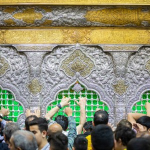سید علیرضا