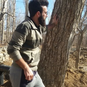 Mohsen