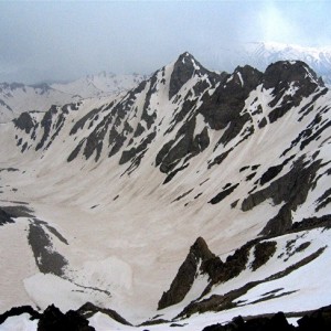 سعید