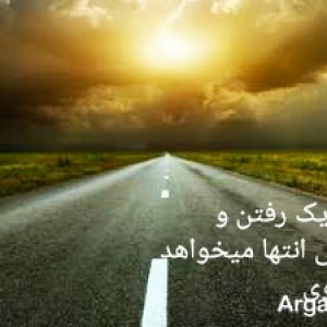مجتبی