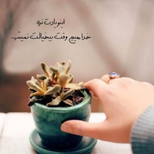 زهرا