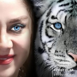 پریسا