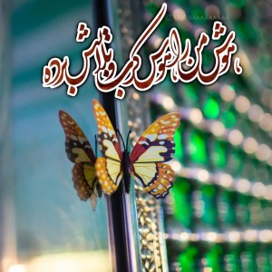 ماریا