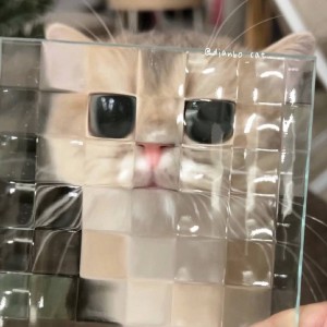 R̶/̶h̶