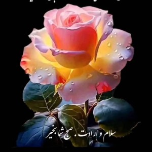 شبنم