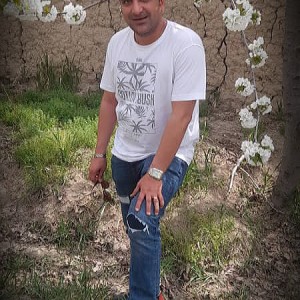 وحید