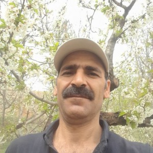 باریش