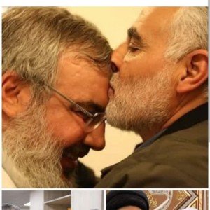 محمدرضا