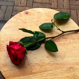 محمدحسین