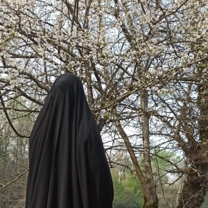 انسیه