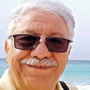سید محمود