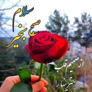 احمد