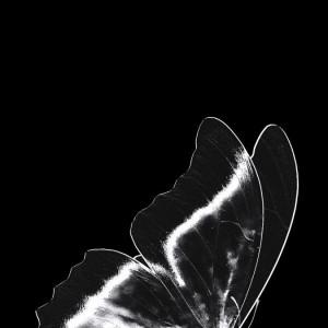 فاطمه