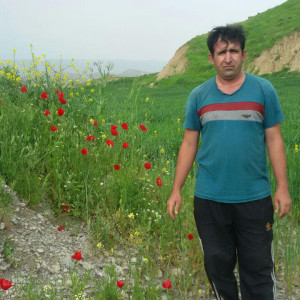 پرویز