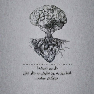 مهسا
