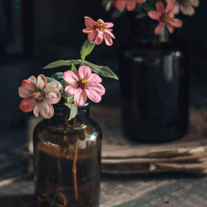 حمیده