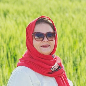 میترا
