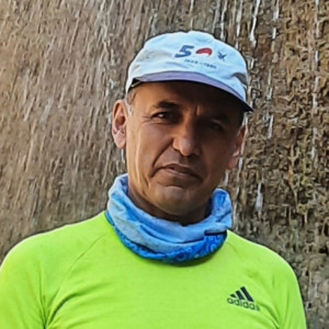 شاهین