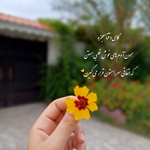 ترنج