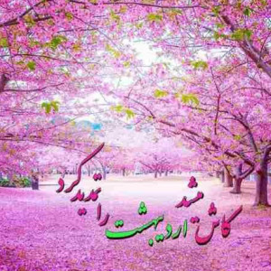 صالح